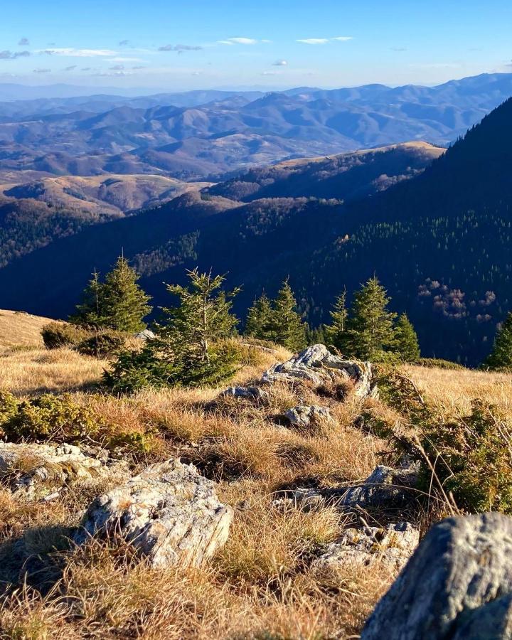 Ivkovic Spa Milmari N16 Kopaonik Bagian luar foto