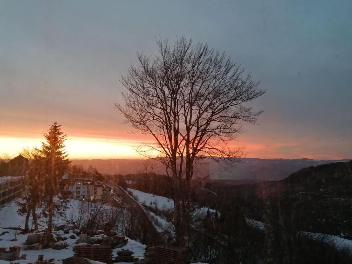 Ivkovic Spa Milmari N16 Kopaonik Bagian luar foto