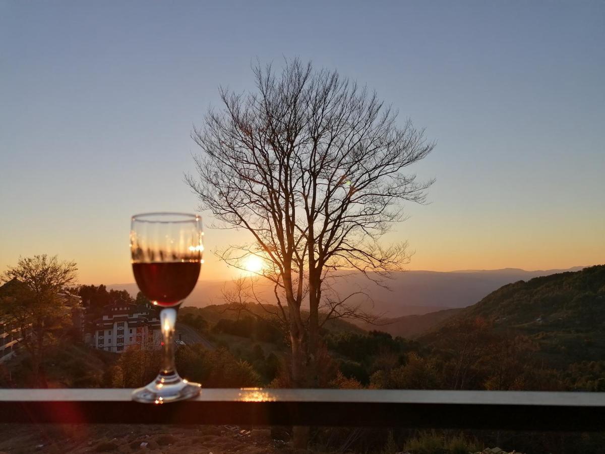 Ivkovic Spa Milmari N16 Kopaonik Bagian luar foto
